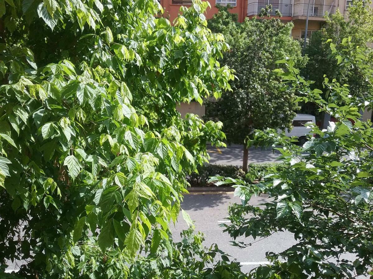 New Trendy Apartment Walencja Zewnętrze zdjęcie
